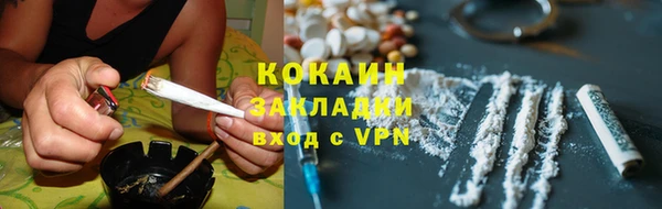 хмурый Алзамай